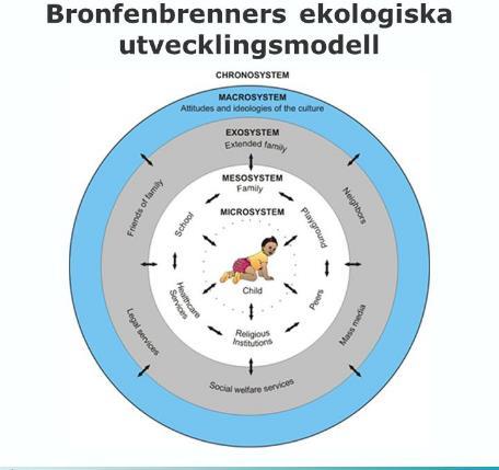 Behandlingen tar ofta hänsyn till flera olika