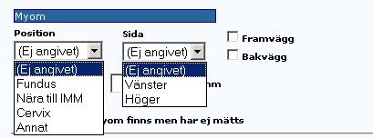 mått. Position: Fundus, Nära till IMM (inre modermun), Cervix och Annat.