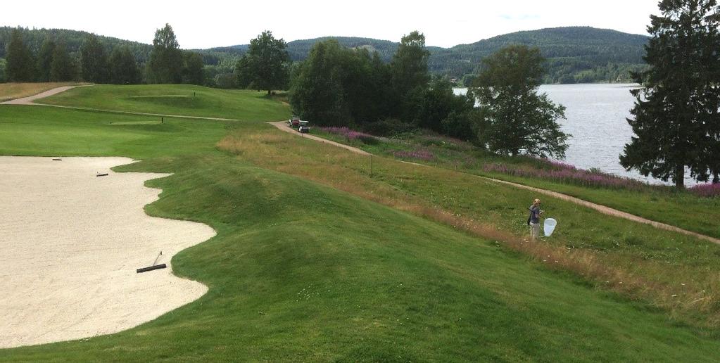 Ett vanligt problem på golfbanor är att det är ett dåligt flyt i spelet eftersom golfarna tillbringar för mycket tid på att leta efter bollar i ruffen.