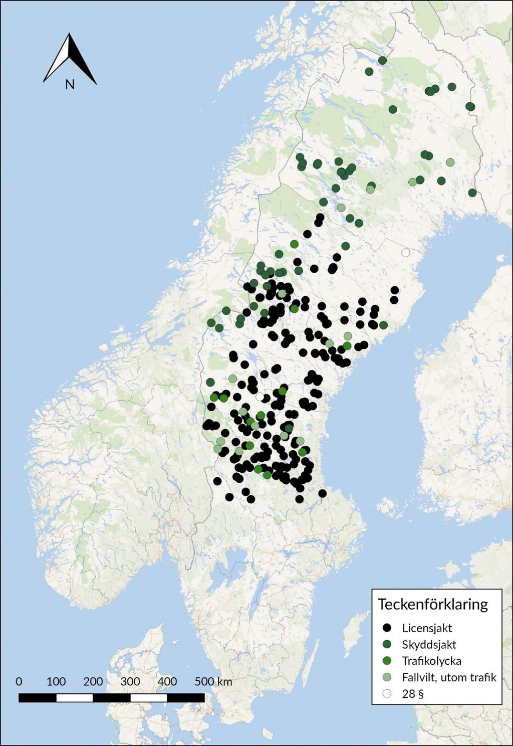 Karta, inkomna björnar till SVA 2017 Utbredningen av fynd- eller avlivningsplats för björnar som