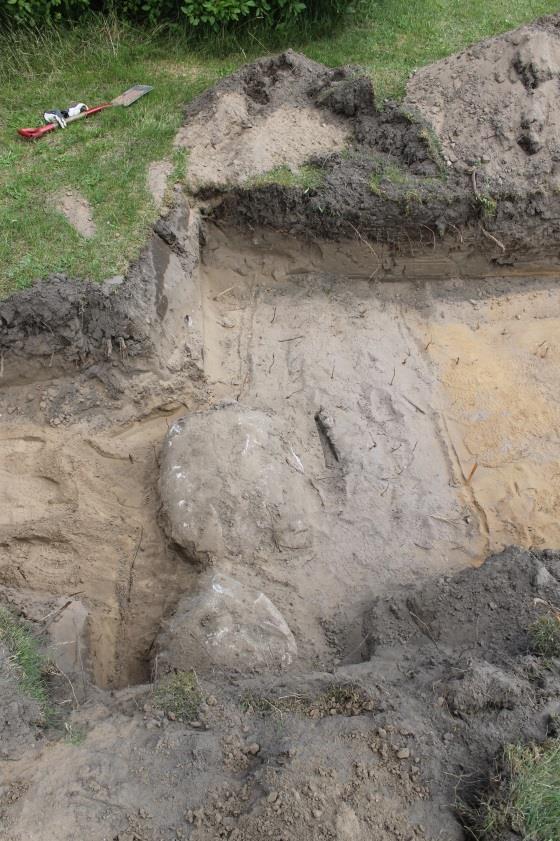 I botten av schaktet fanns orangefärgad sand, förutom i den södra delen av schaktet där underlaget utgjordes av lera. I schaktet fanns ingen äldre matjord.