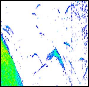 Temperaturkurva Temperaturkurvan används till att illustrera skiftningar i vattentemperaturen. När kurvan är aktiverad visas en färgad linje samt temperatursiffror på Echosounder-bilden.