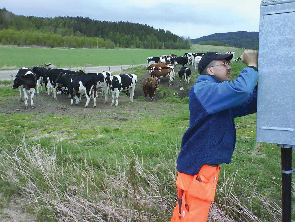 mätledning Ko-miska inslag i