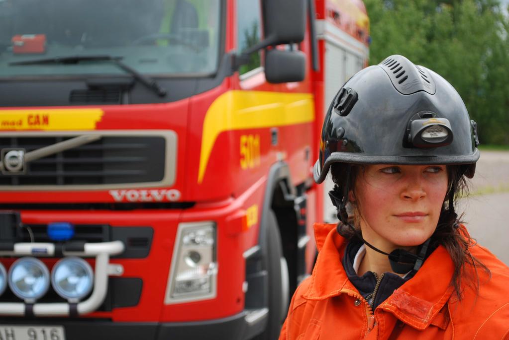 Bakgrund En allvarlig kris berör oftast ett stort antal krisaktörer med olika roller, såväl offentliga som företag och organisationer. Var och en agerar självständigt och leder sin egen verksamhet.