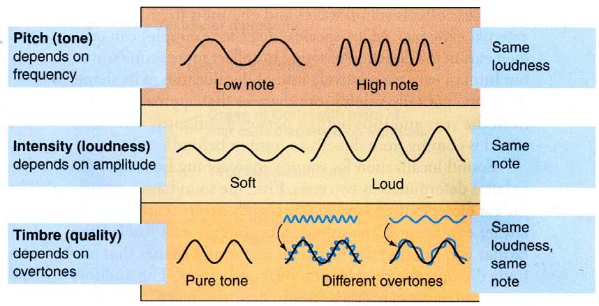 Kvaliteten på det ljud som hörs bestäms väsentligen av vibrationens frekvensinnehåll: ett klangfullt ljud bildas av en basfrekvens och dess övertoner (multipler av basfrekvensens), oljud innehåller