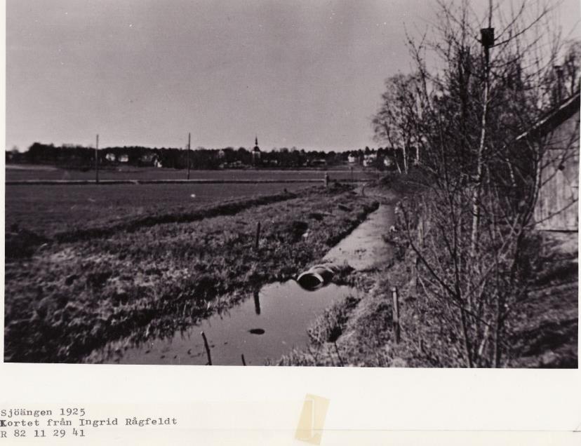 Från gångvägens början vid Råbyvägen ser man i dag bara slyskog.