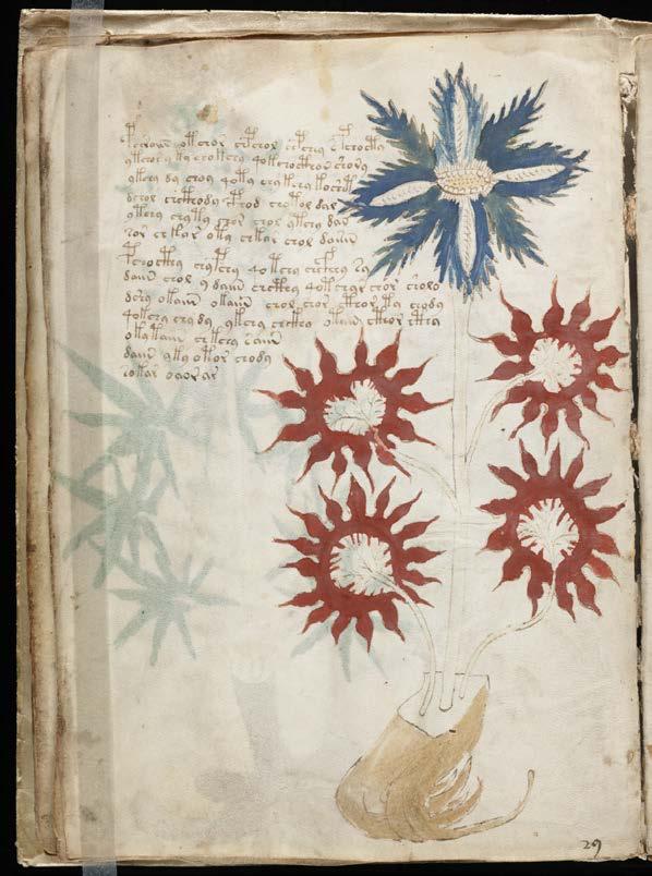 Voynich-manuskriptet: Berömd 1400-talstext skrivet på okänt språk (chiffer?