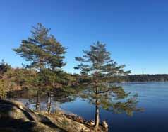30 sjöar och lika många vattendrag från Huddinge, Botkyrka, Nacka och Stockholm rinner till utloppet i Tyresö och Östersjön.