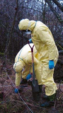 som t ex i hö och jord. Mjältbrandsbakterien Bacillus anthracis kan, bland annat i kontakt med luft, bilda mycket motståndskraftiga sporer.