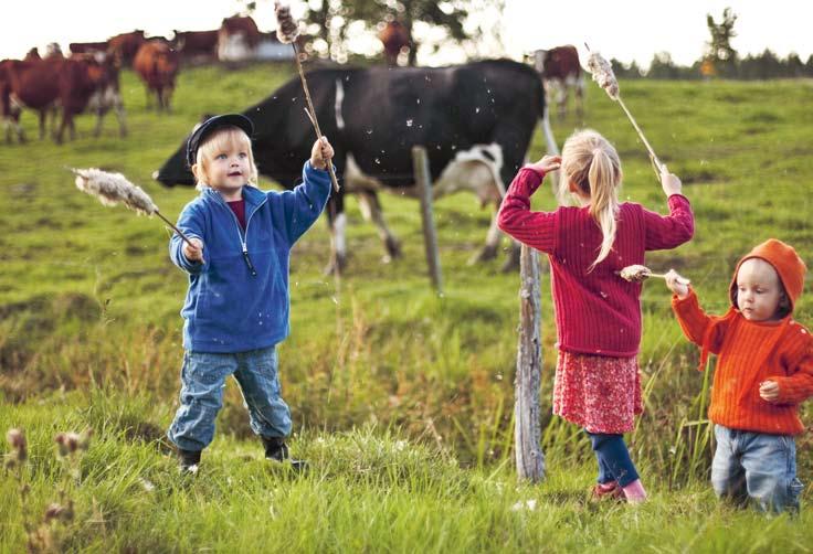 Friska djur trygga människor Mål och återrapporteringskrav ur regleringsbrevet Generell återrapportering SVA ska i återrapporteringen redogöra för hur myndighetens verksamhet bidragit till att