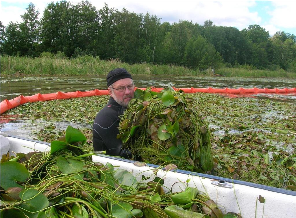 Mälaren