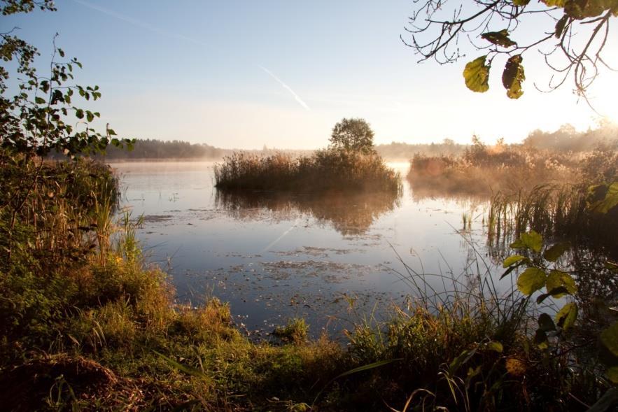 lekområden för