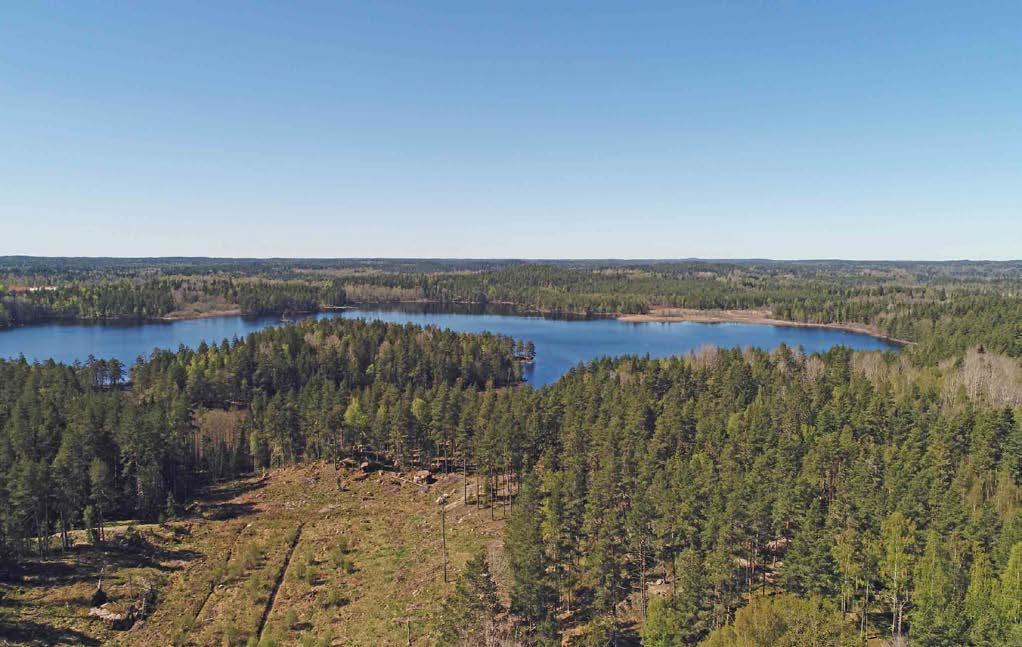 Skogsgårdar i Vimmerby kommun Övrigt Inga stödrätter följer fastigheterna. Inägomarken på Tuna-Flohult 1:2 är utarrenderat muntligt.