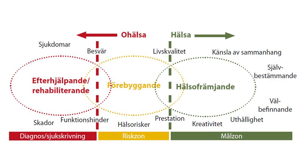 Hälso- och arbetsmiljöarbete