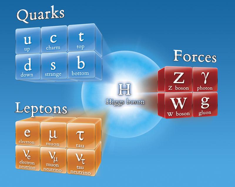 Elementarpartikelfysikens standardmodell Beskriver materien och de