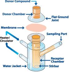 Quality of transdermal patches (CHMP/QWP/608924/2014) Annex 1 om in vitro