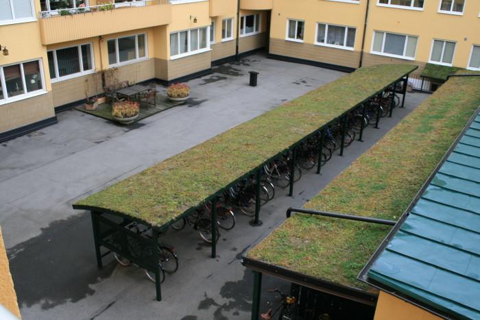 5 Vegetationstäckta gröna tak För att minska och utjämna flöden kan ett vegetationstäckta tak ( gröna tak ) anläggas, exempelvis bestående av