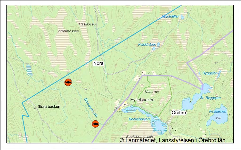 Skattad täthet/100 m 2 i Bondabrobäcken, station 2 0+öring >0+öring Antal 35 30 25 20 15 10 5 0 2004 2008 2008 Resultat från 2014 års elfiske jämfört med tidigare års undersökningar.