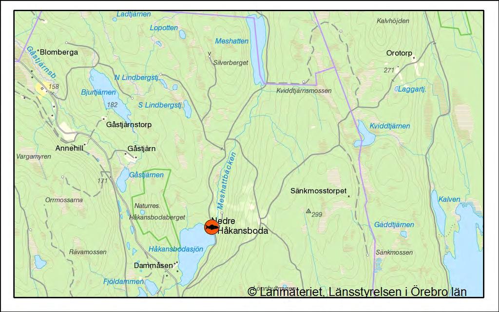 Elfiskestationen i Meshattbäcken. Mogruvälven, 122-297 Vid elfisket fångades 21 öringar, vilket utgör en skattad besättningstäthet av 11 öringar per 100 m 2.