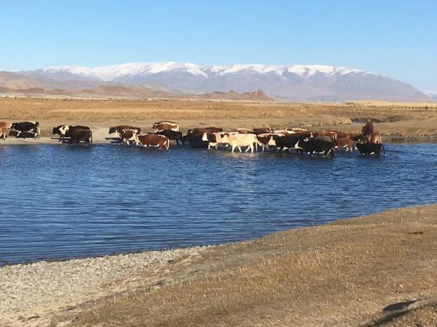 från resten av Mongoliet mot ost, i nordsyd-gående riktning.