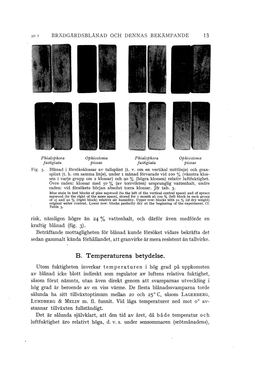 35' 7 BRÄDGÅRDSBLANAD OCH DENNAs BEKÄMPANDE 13 Fig. 3 Phiaophora Ophiostoma Phiaophora Ophiostoma Jastigiata piceae fastigiata piceae Bånad i försökskossar av taspint (t. v.