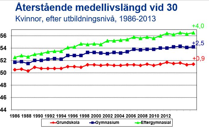 Kommissionen