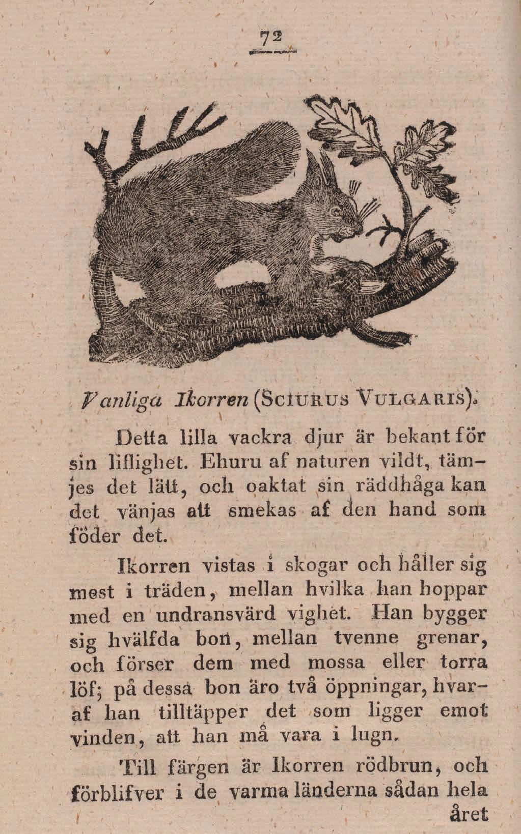 Tryckta bilder före litografin Före 1800-talet fanns i princip två metoder att reproducera bilder.