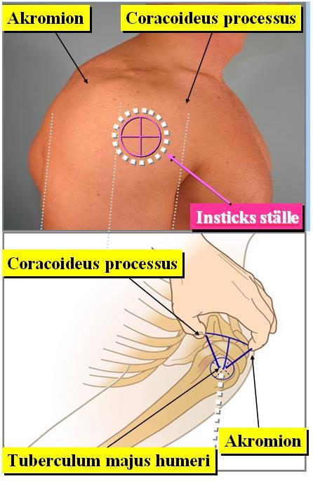 Sida 4