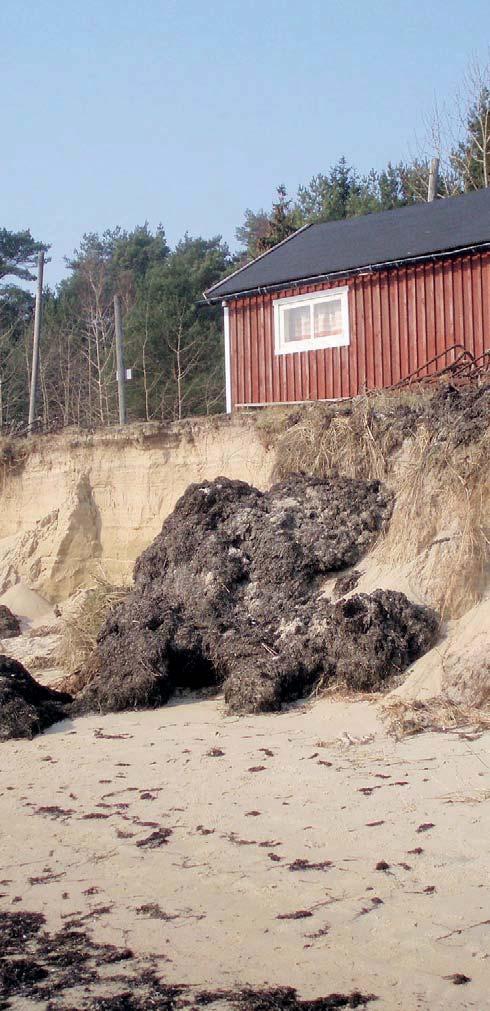 Målkonflikter Erosion vid Östra Sand 2007.