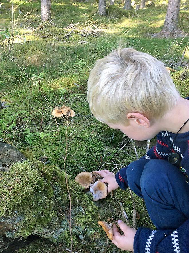 Barn i åldrarna 8-12 år hälsas välkomna! Välkommen vid ett eller flera tillfällen! Mer information får du av: Johanna Ågestad, johanna.agestad@gmail.com.