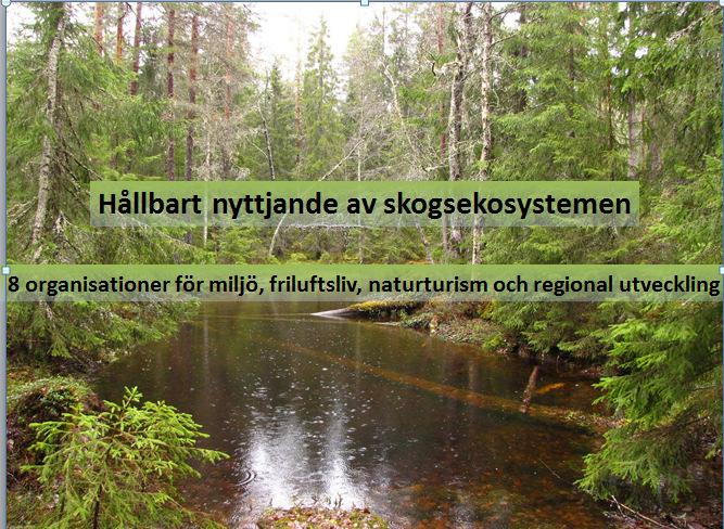 Hållbart nyttjande av skogen inom ramen för ett nationellt skogsprogram Vi representerar den svenska miljö- och friluftsrörelsen samt branschorganisationen Ekoturismföreningen och Hållbara Bergslagen