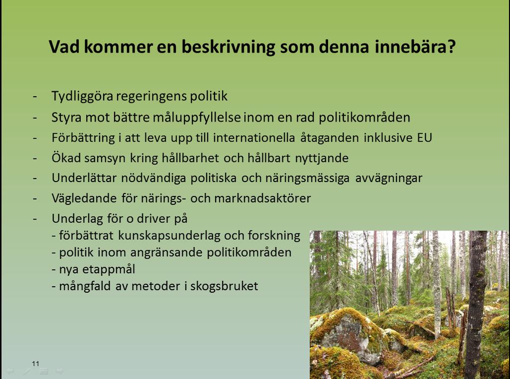 Regeringen behöver tydliggöra sin skogspolitik för att den ska kunna bidra till samhällets mål inom olika politikområden.