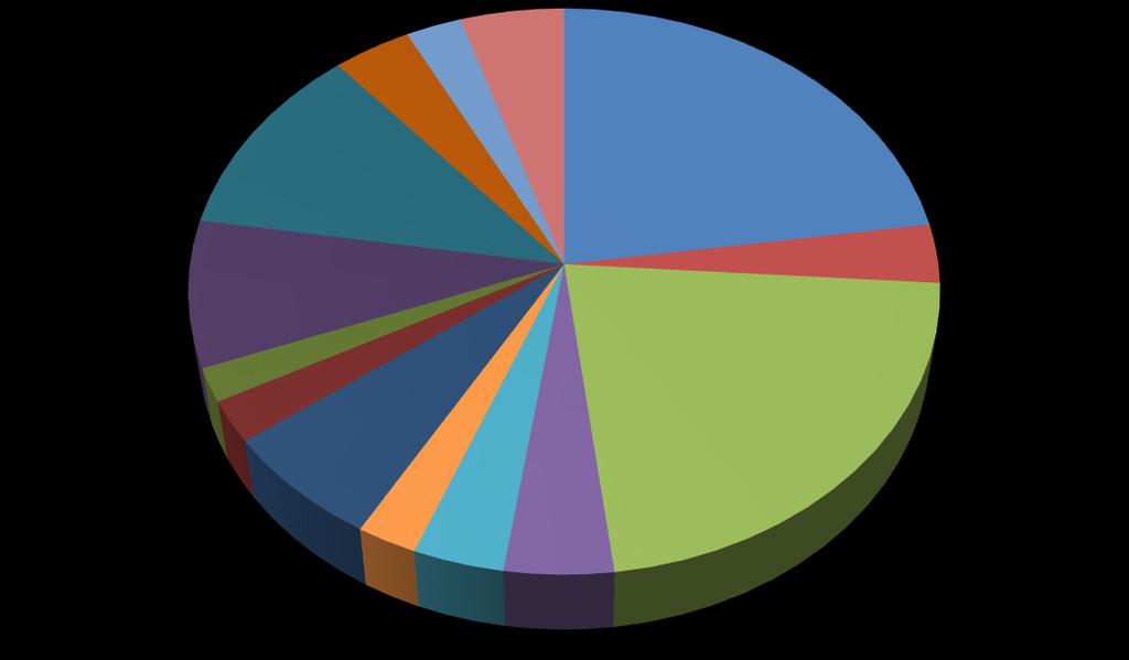 23% Funktionärsresa 8% Lotterier 3% Marknadsföring 2% Möten med kommittéerna 2% Kommittéerna 7% 80+ lunch 4% PUB/Månadsmöten etc