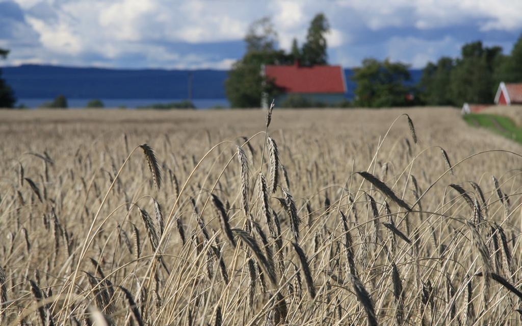 Aktuellt Maj 2018 4 Tema Regionmöten: Ett samlat Landshypotek med engagemang för näringen En gång om året samlas medlemmarna, banken och förtroendevalda till träffar över hela landet.