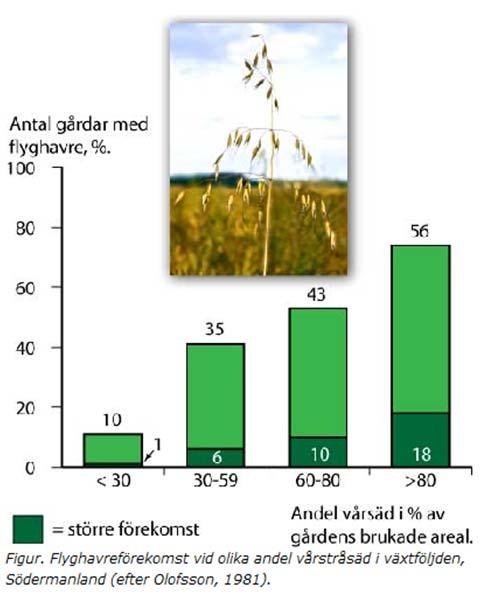 Gräsogräs - IWM Inverkande parametrar odlingssystem växtföljd jord-