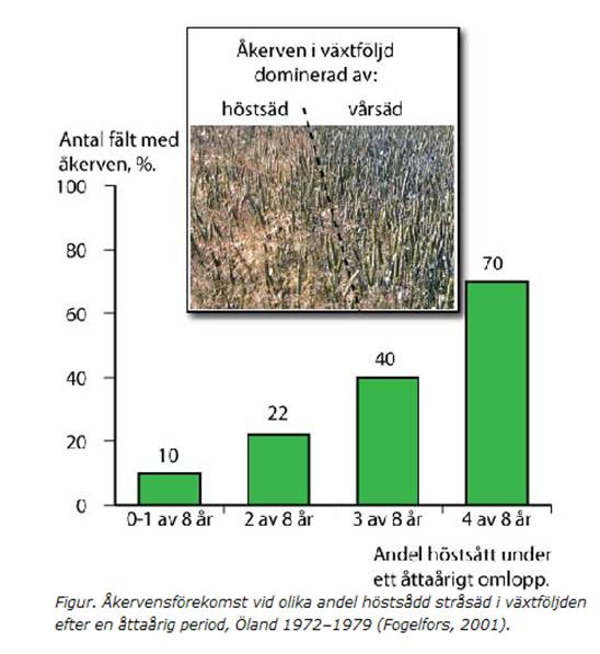 utsädesmängd ogräskännedom skadegörare insekter svampar prognoser