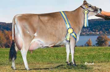 105 70092 61 Brita 414131 20151031 F: 1105 BEAUTIFULL 4304 MF: 1058 DJ ZUMA 4119 Ägare: 70092 HUSKAB ÖNNESTADS GYMN, ÖNNESTAD 106 70092 32 Brita 2802 20141102 F: 1099 ON TIME 4232 MF: 1058 DJ ZUMA