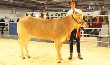 32 1194 Edelweis av Träda RESERV 20180223 46 284 F: 1543 Leonardo Av Katslösa FF: 736 Gg Ronaldo M: 948 MF: 9144 Tokapi Ägare: 28902 Lennartsson Anders och Maria, Fjugesta Blonde d Aquitaine Blonde d