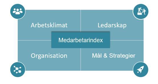 MEDARBETARINDEX VAD ÄR DET? Medar