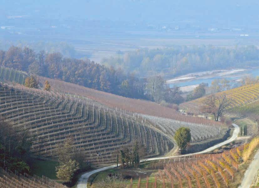 Barbaresco barbaren som tagit på sig finkostymen Vad är skillnaden mellan Barolo och Barbaresco?