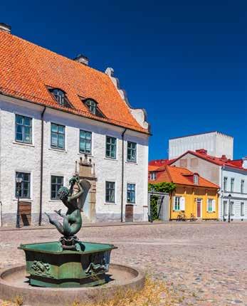 Fallbeskrivning Fallbeskrivning från Kalmar En 47-årig kvinna, tidigare frisk utöver levaxinbehandlad hypotyreos, söker en kväll i april på akut-mottagningen.