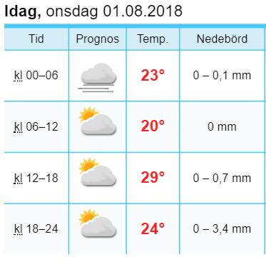 Vilka är värst? Getingar, knott, eller mygg? Konsulenterna är här!