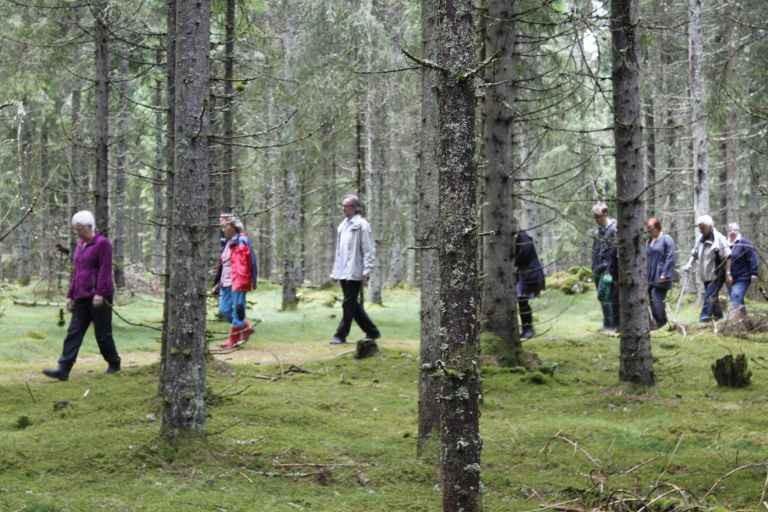 12 Gemensamma promenader Utgår från badets parkering i Veberöd 9.30 tisdagar och vi startar den 17 jan. Inga-Lisa Sjödin, tel hem 046 81990, mob. 0702904813 håller i dessa.