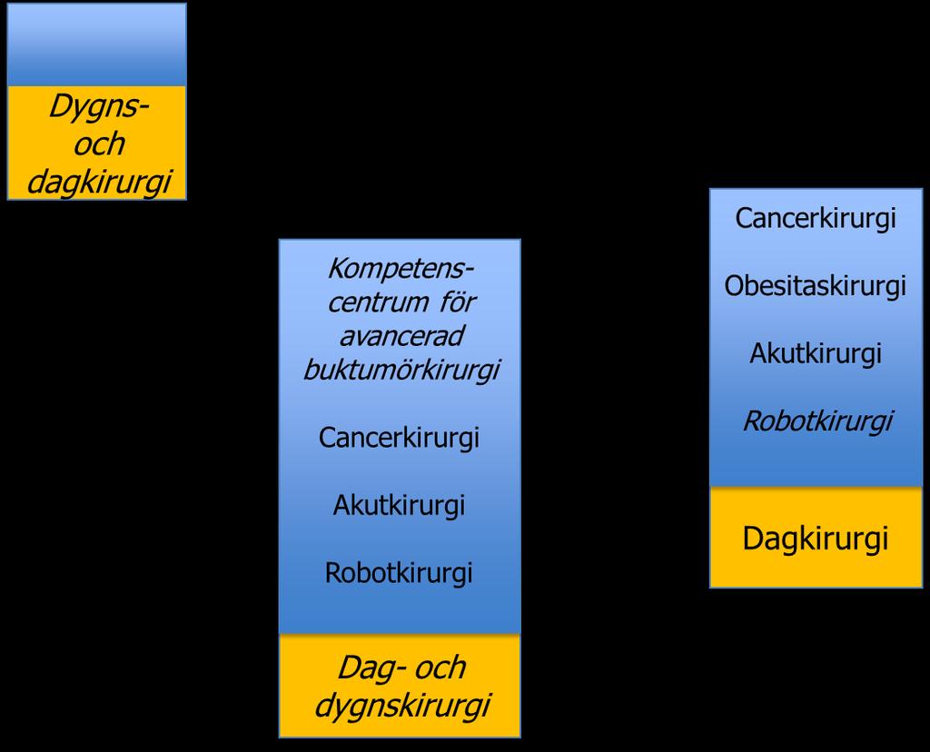 Framtida struktur Kirurgi Region