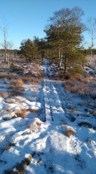 00 för gemensamt långpass, ca 1,5 timme start: Söndag 19/11 Alla kan vara med, vi anpassar fart och delar oss i