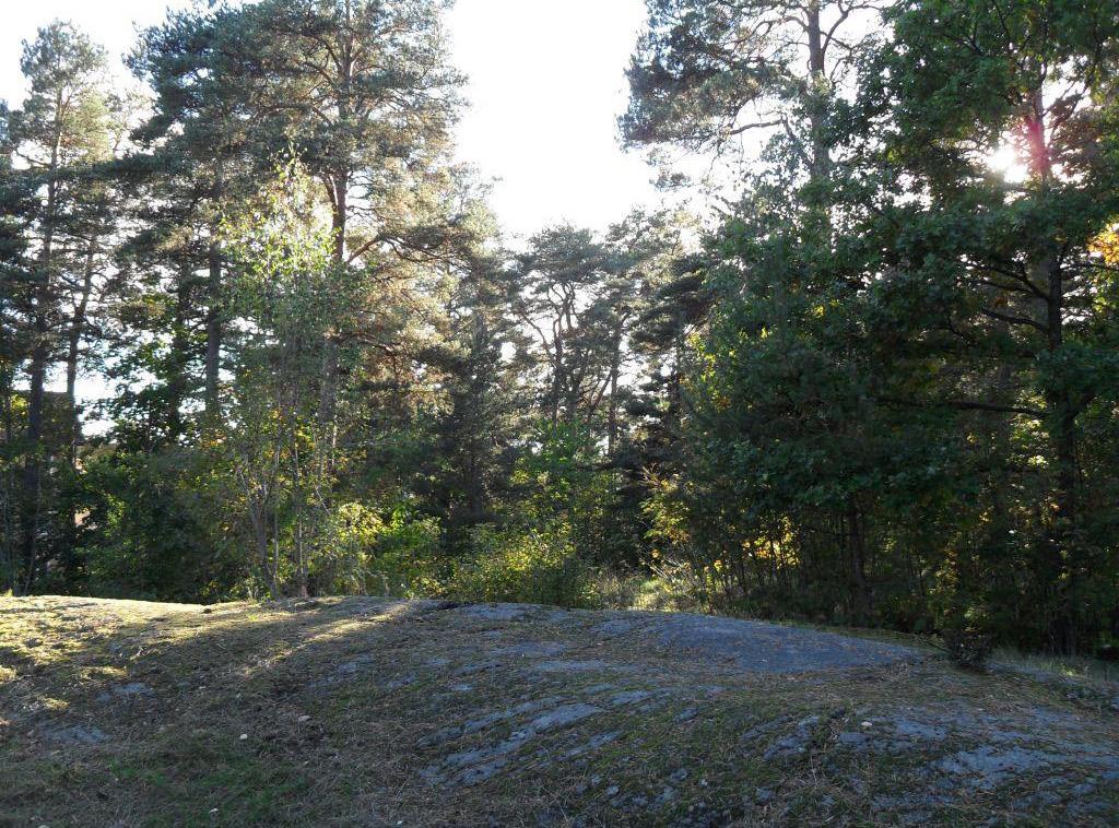 överblick över parken och dess omgivningar.