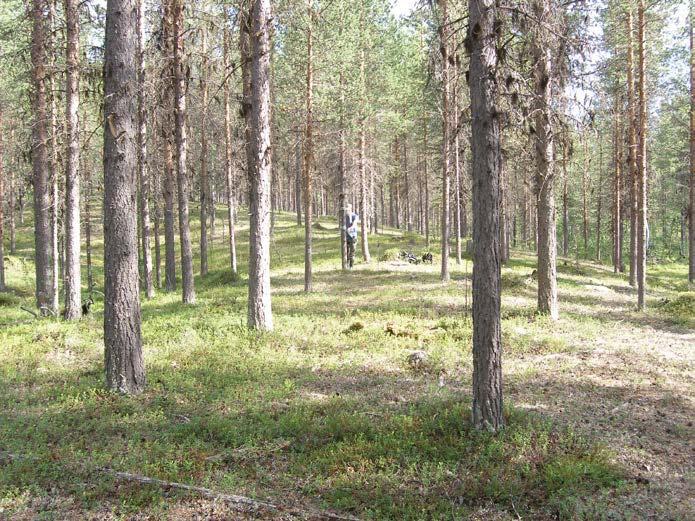 landskap, Norrbottens län. Fig. 1. Härd R 03 från SÖ.