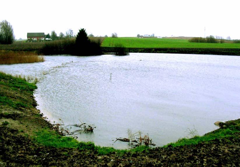 Svedala kommun Nr 5 Damm vid Bosarp Fastighet: Bosarp 1:36 Kommun: Svedala Dammyta: 0,9 ha Vattenvolym (max): 5 000 m3 Djup (max): 1,2 m Tillrinningsområde (ha): 100 Schaktmassor: 5 400 m3