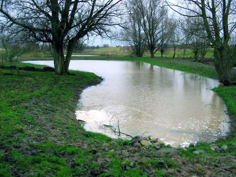 Svedala kommun Nr 66 Bjärshög - damm vid Sege å Fastighet: Bjärshög Kommun: Svedala Dammyta: 0,14 ha Vattenvolym (max): 700 m3 Djup (max): 1,4 m Tillrinningsområde (ha): 40 ha åker Schaktmassor: 500