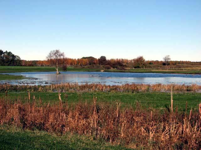 Svedala kommun Nr 87 Damm vid Svenstorp Fastighet: Svenstorp 3:4, Hyltarp 9:44 Kommun: Svedala Dammyta: 2 ha Vattenvolym (max): 9 200 m3 Djup (max): 1,0 m Tillrinningsområde (ha): 700 ha